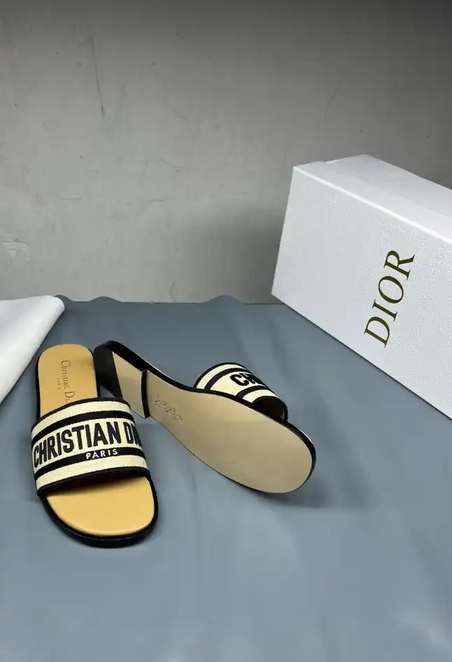 hype Christian Dior Slippers