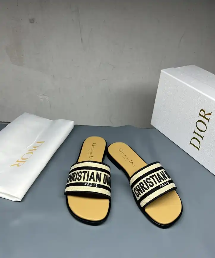 hype Christian Dior Slippers