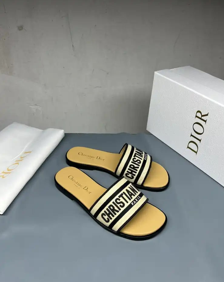 hype Christian Dior Slippers