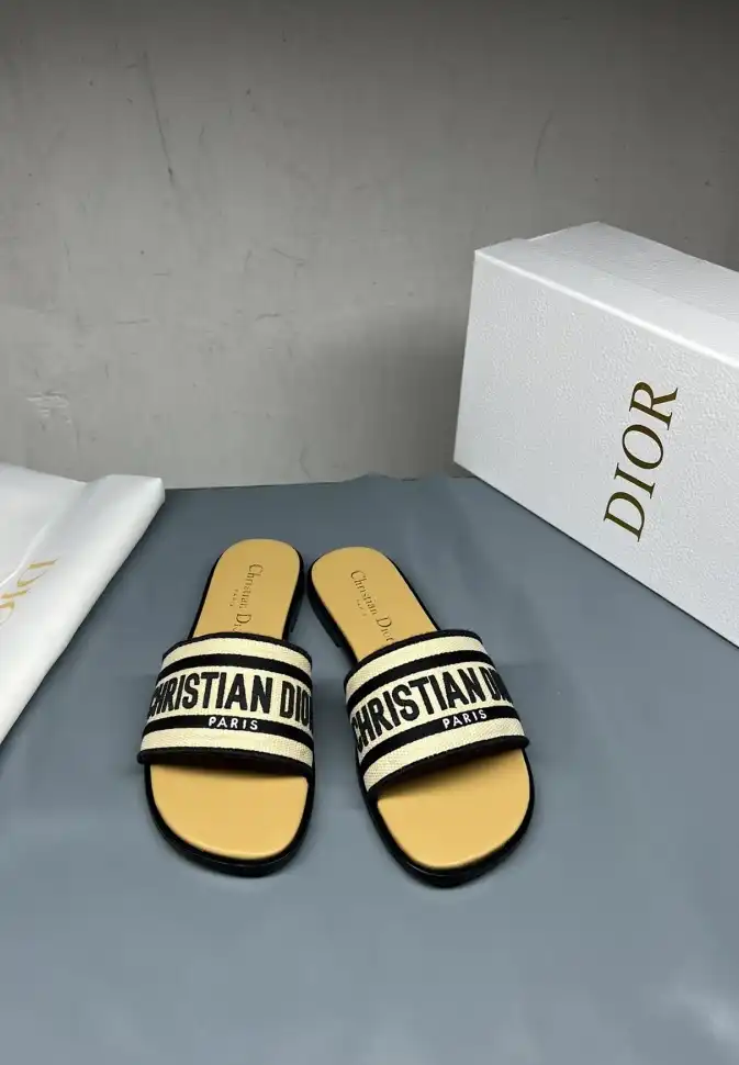 hype Christian Dior Slippers