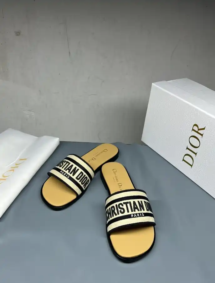 hype Christian Dior Slippers