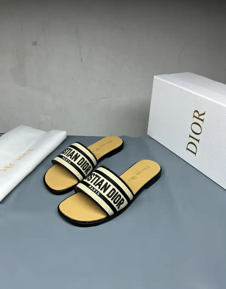 hype Christian Dior Slippers