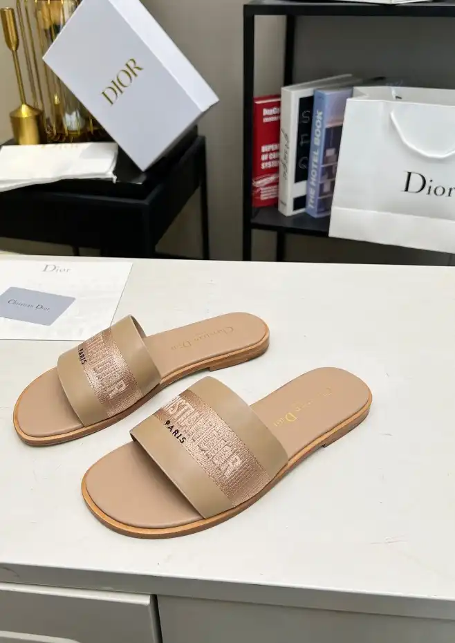 hype Christian Dior Slippers