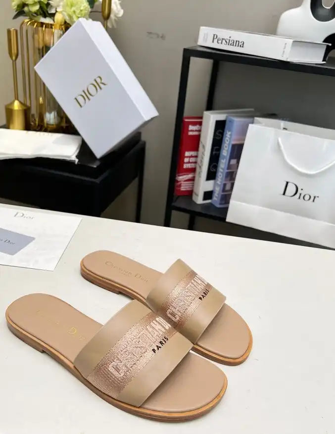 hype Christian Dior Slippers