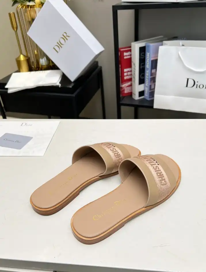 hype Christian Dior Slippers