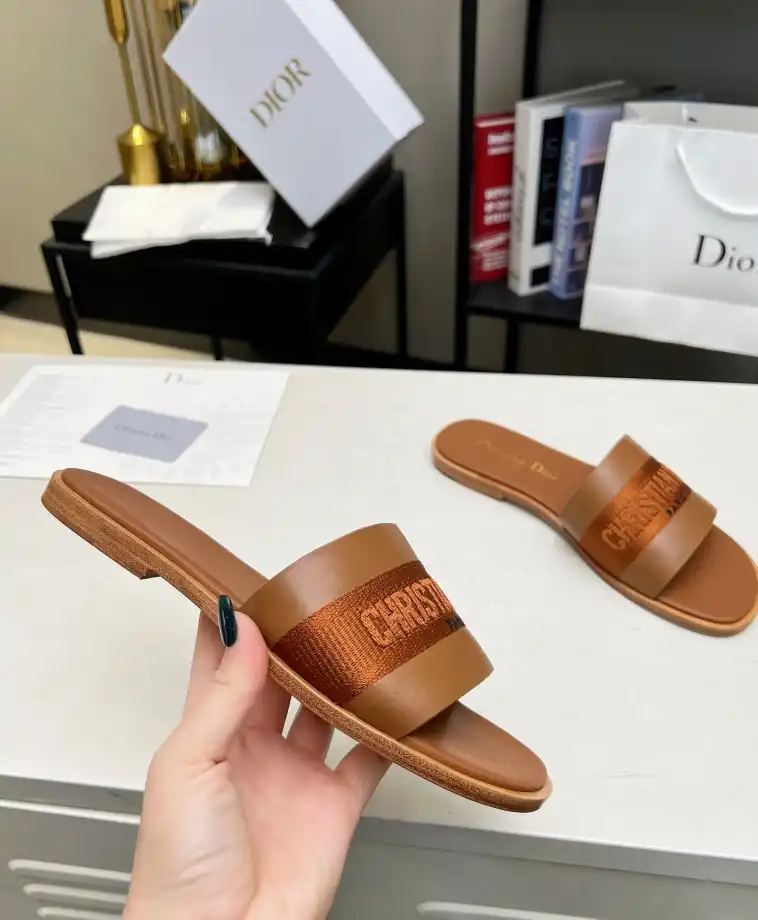 hype Christian Dior Slippers