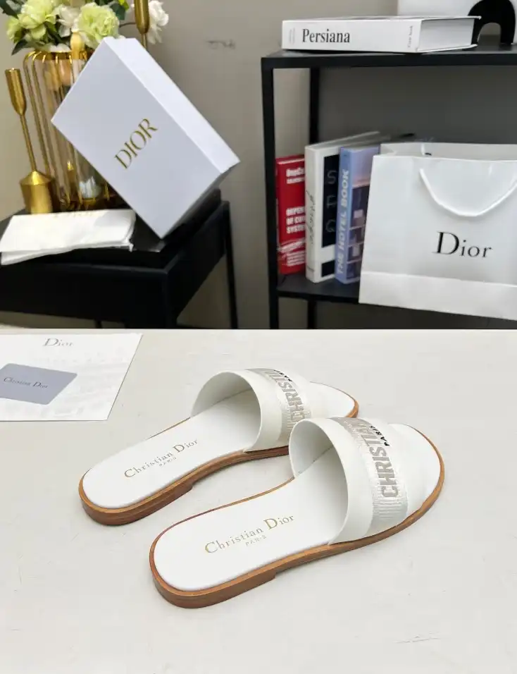 hype Christian Dior Slippers