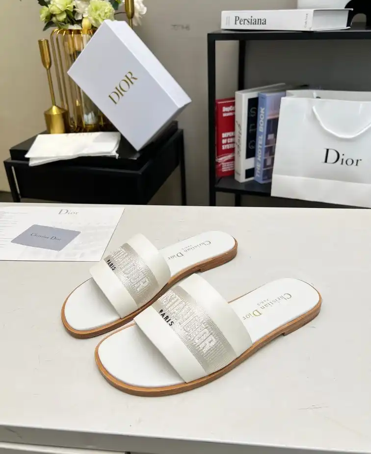 hype Christian Dior Slippers