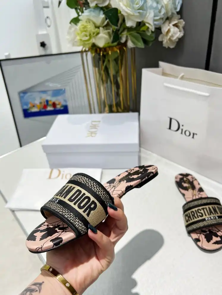 hype Christian Dior Slippers