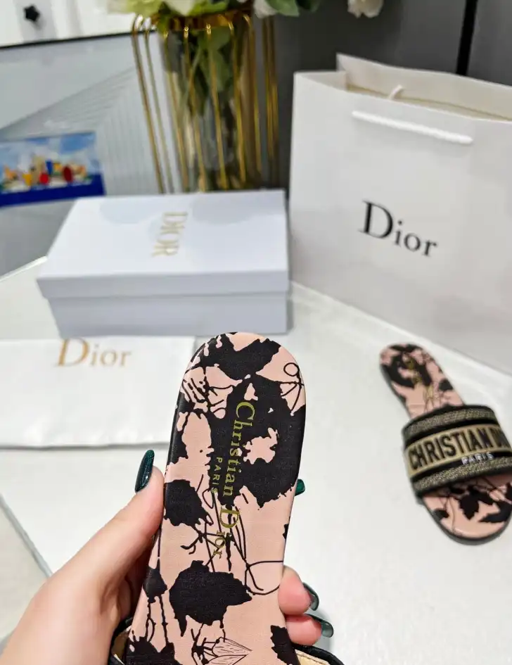 hype Christian Dior Slippers