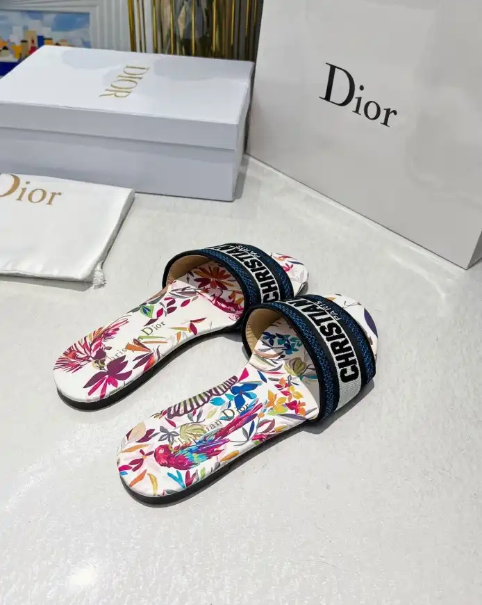 hype Christian Dior Slippers