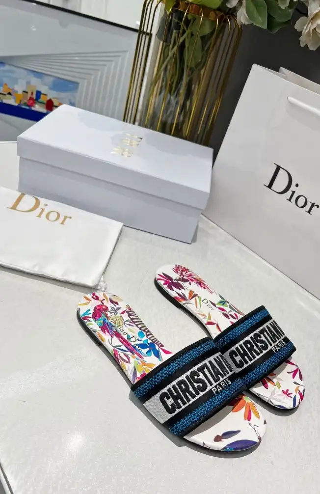 hype Christian Dior Slippers