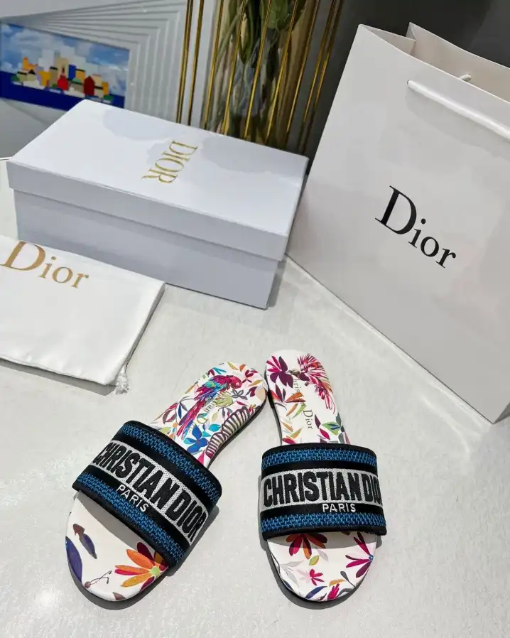 hype Christian Dior Slippers