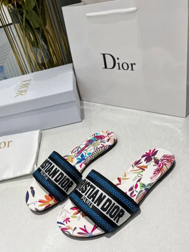 hype Christian Dior Slippers