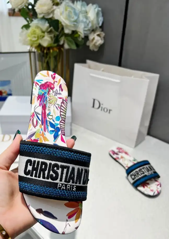 hype Christian Dior Slippers