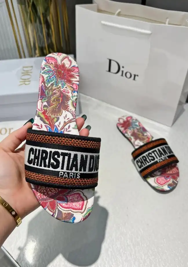 hype Christian Dior Slippers