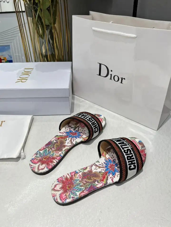 hype Christian Dior Slippers