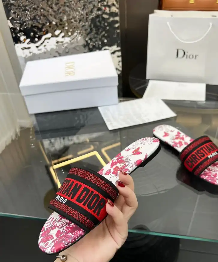 hype Christian Dior Slippers