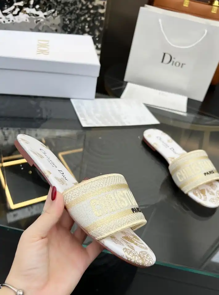 hype Christian Dior Slippers