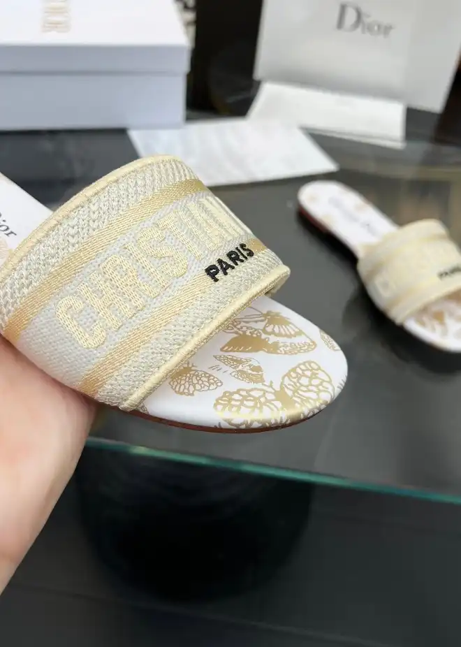 hype Christian Dior Slippers