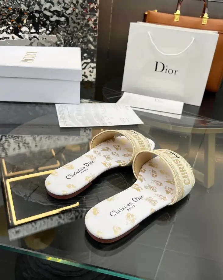 hype Christian Dior Slippers