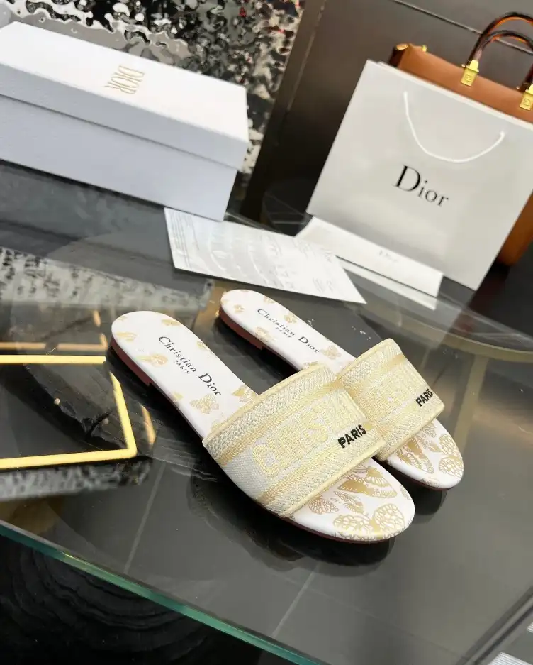 hype Christian Dior Slippers