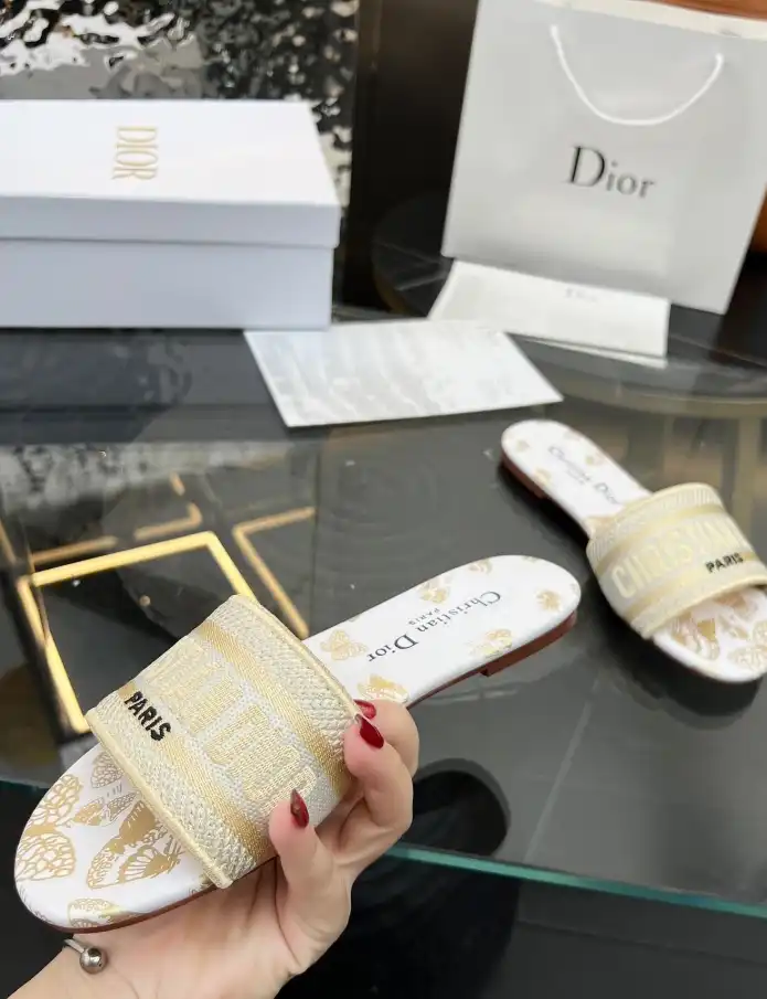 hype Christian Dior Slippers