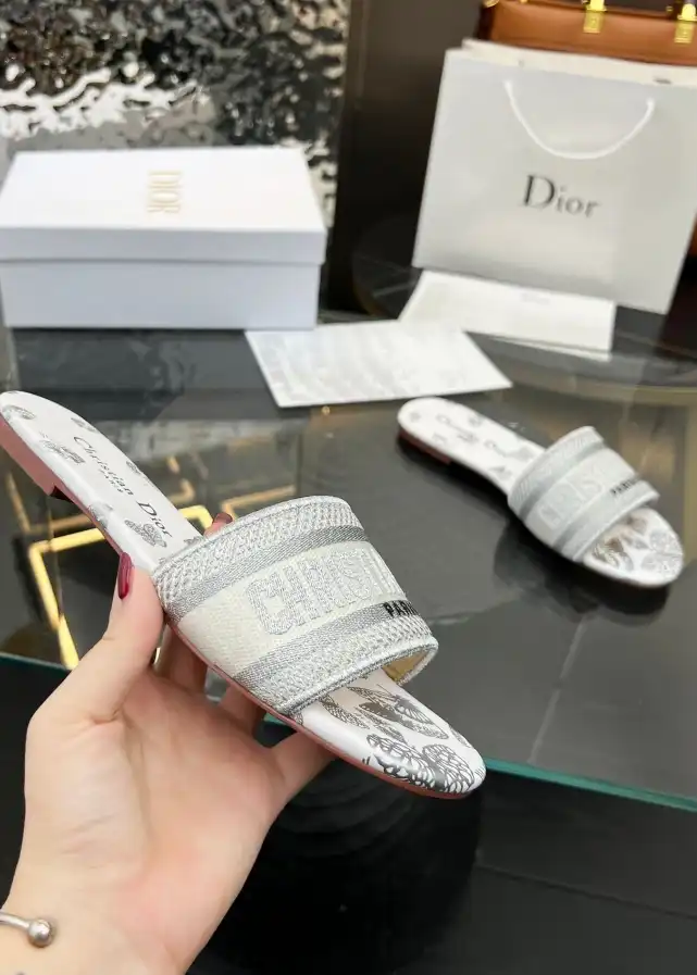 hype Christian Dior Slippers