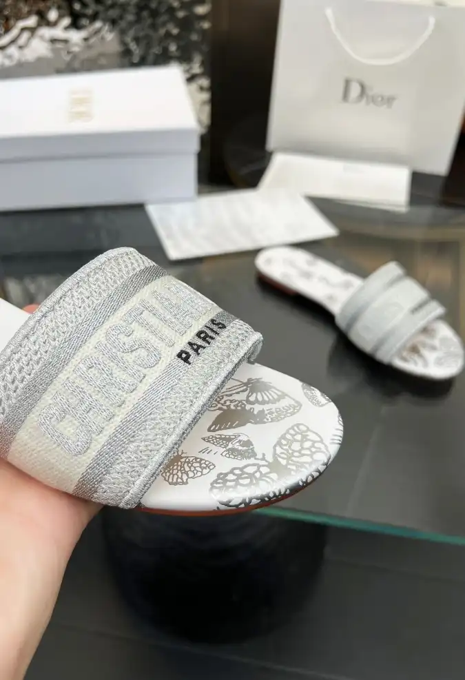 hype Christian Dior Slippers