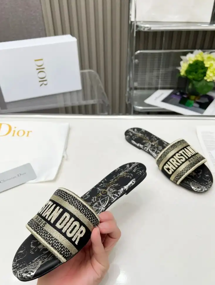 hype Christian Dior Slippers