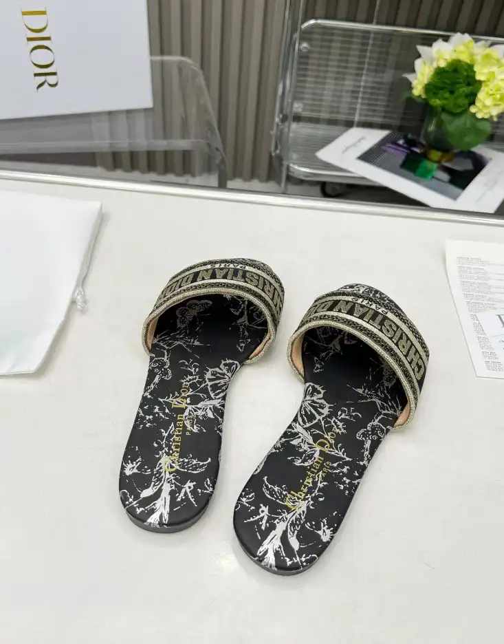 hype Christian Dior Slippers