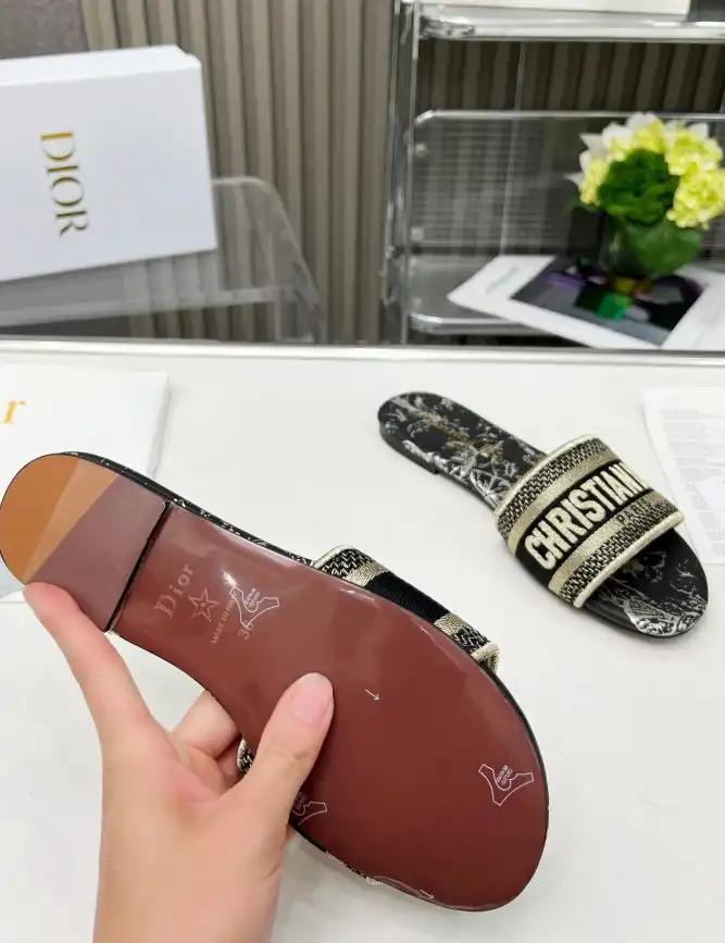 hype Christian Dior Slippers