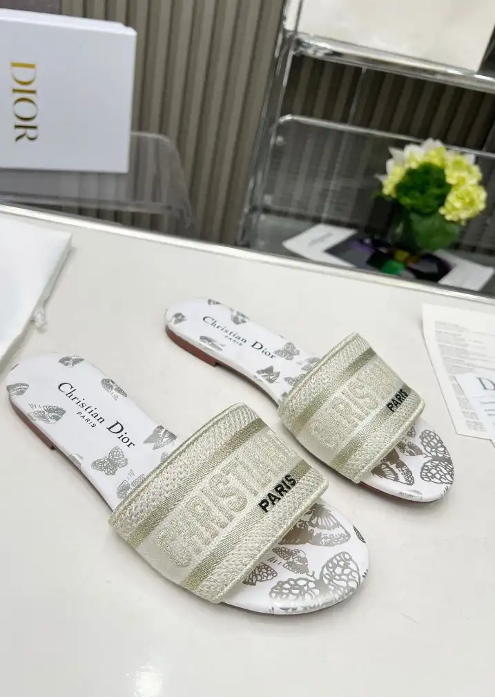 hype Christian Dior Slippers