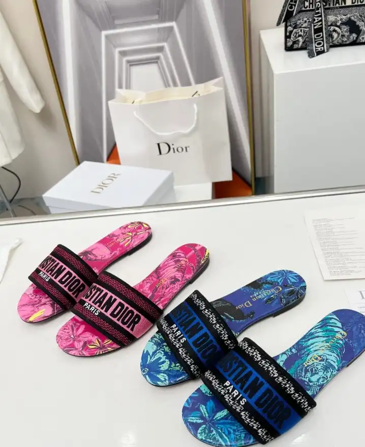 hype Christian Dior Slippers