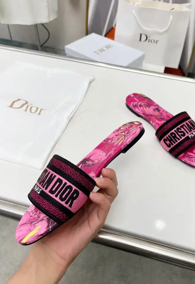 hype Christian Dior Slippers