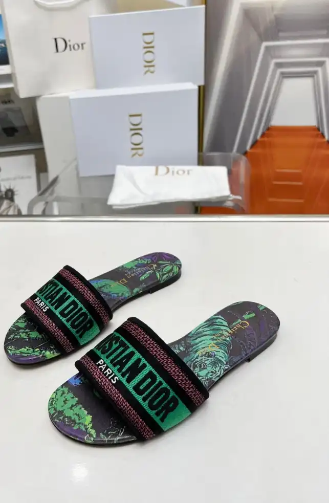 hype Christian Dior Slippers