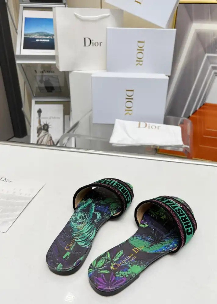 hype Christian Dior Slippers