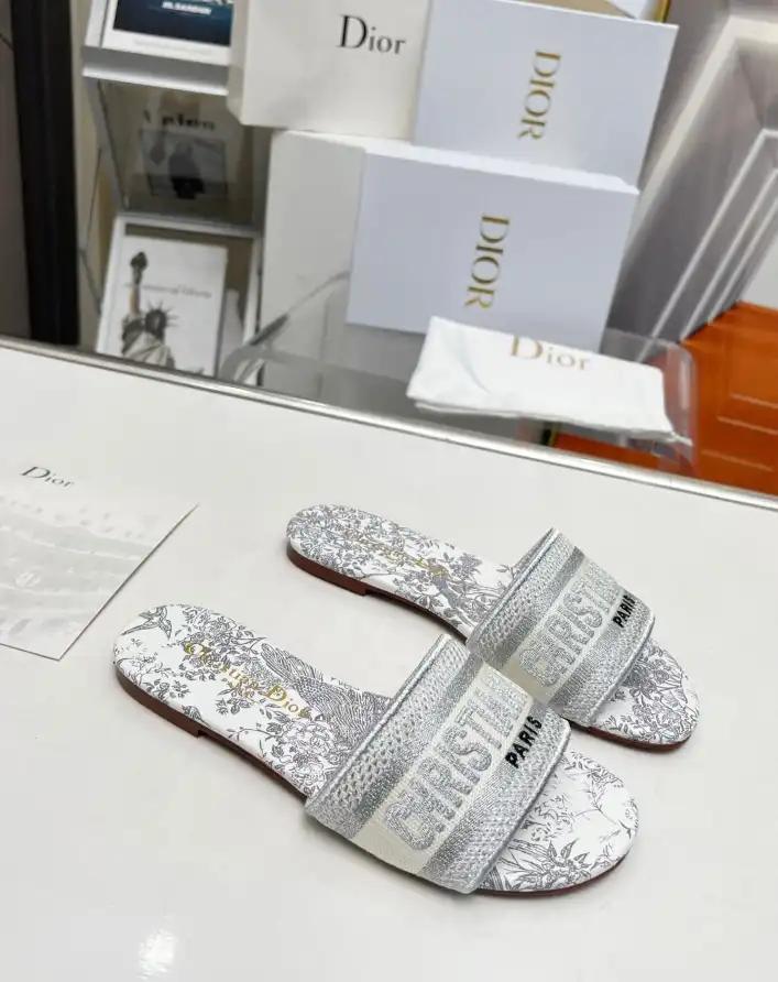 hype Christian Dior Slippers