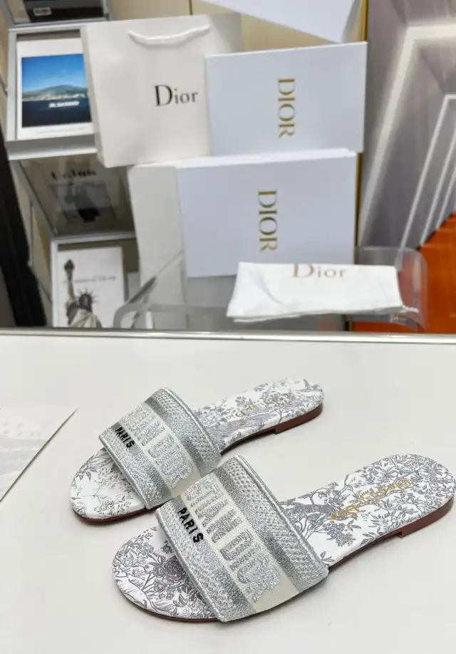 hype Christian Dior Slippers