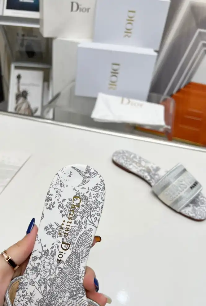 hype Christian Dior Slippers