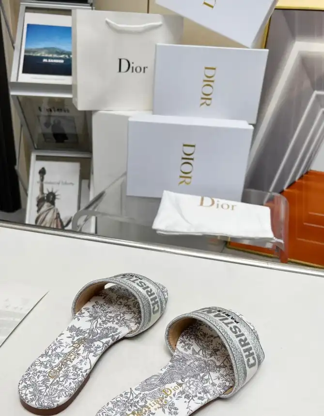 hype Christian Dior Slippers