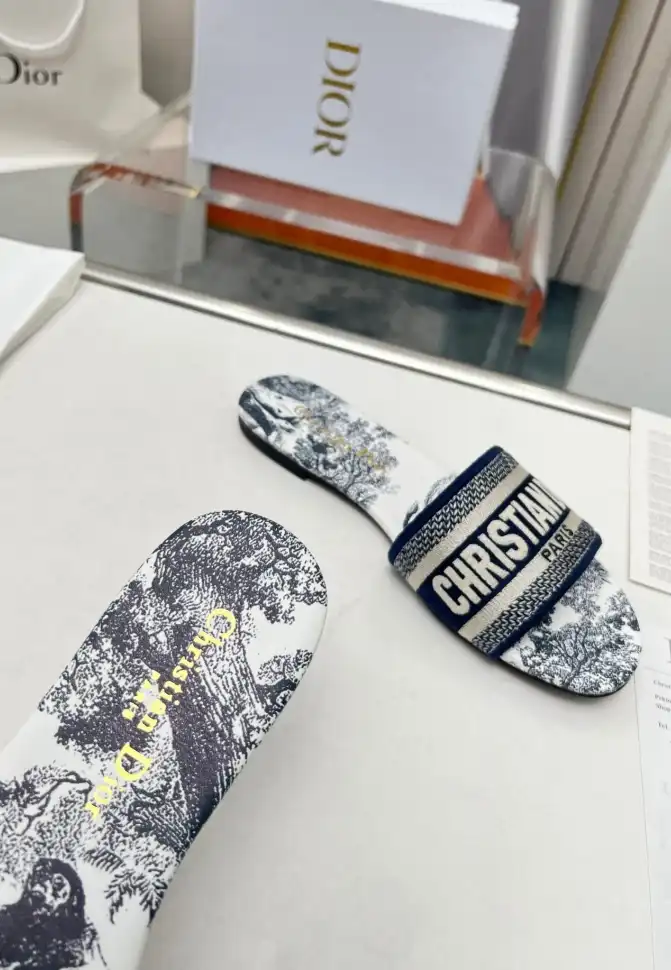 hype Christian Dior Slippers