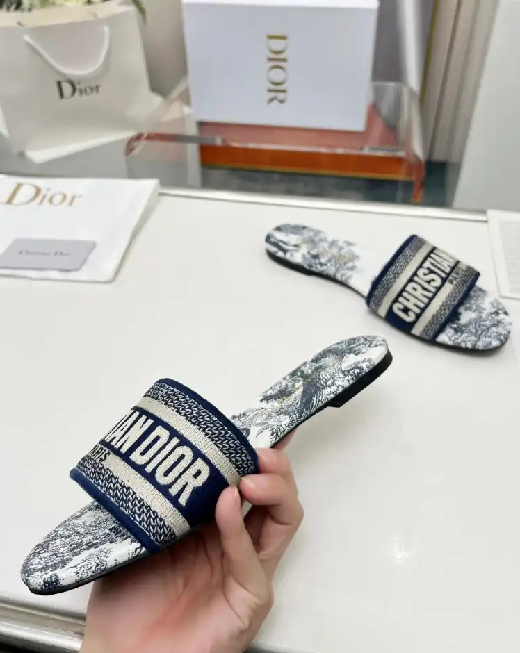 hype Christian Dior Slippers