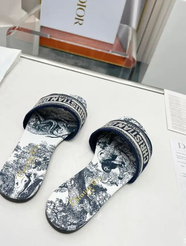 hype Christian Dior Slippers