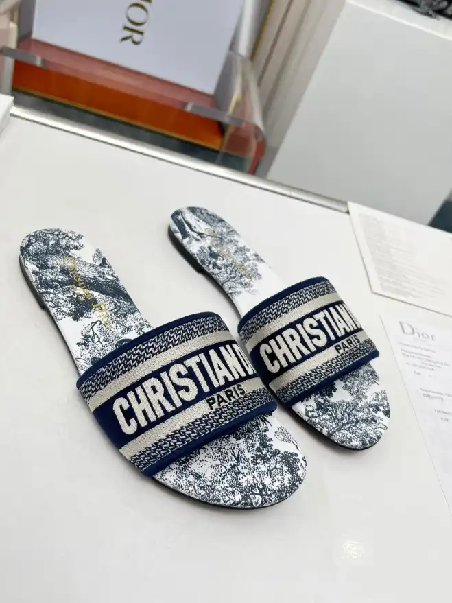 hype Christian Dior Slippers