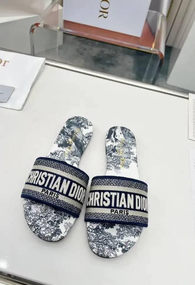 hype Christian Dior Slippers