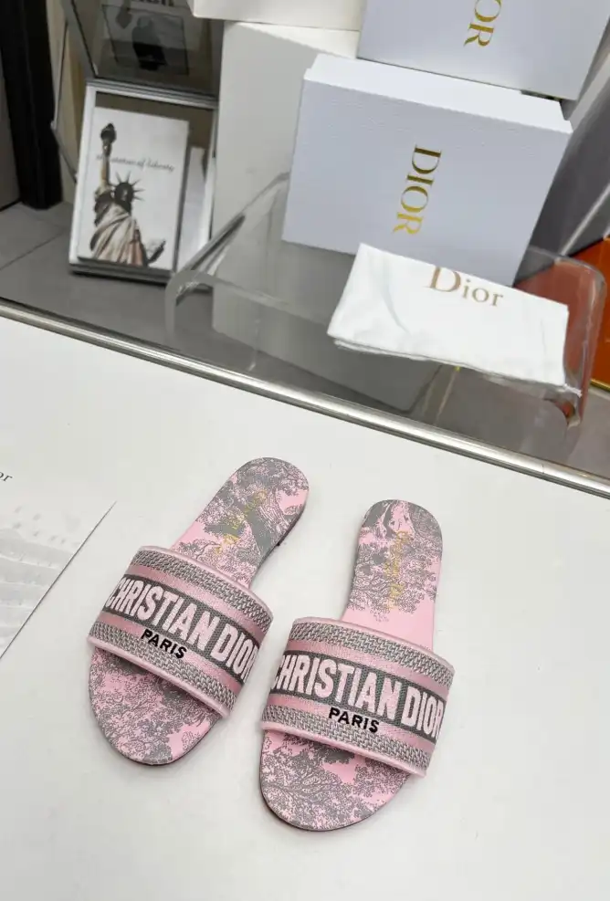 hype Christian Dior Slippers