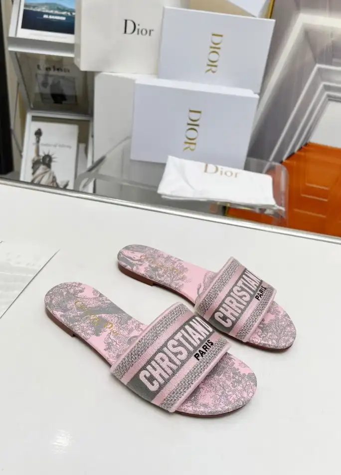 hype Christian Dior Slippers