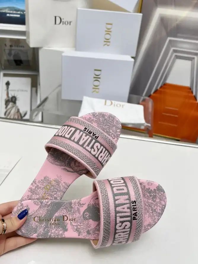 hype Christian Dior Slippers