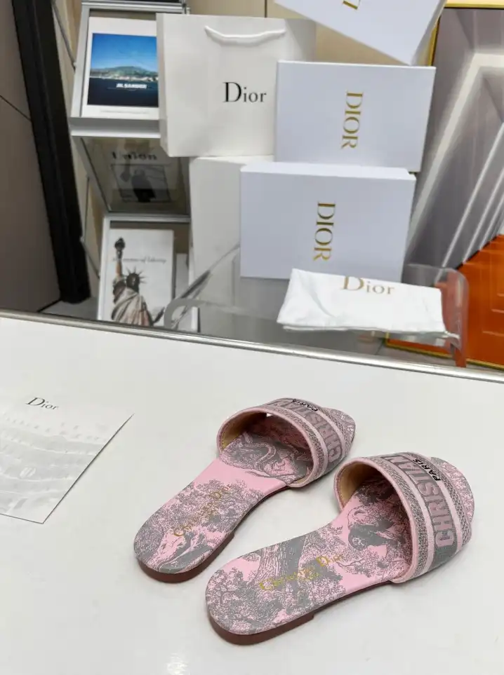 hype Christian Dior Slippers